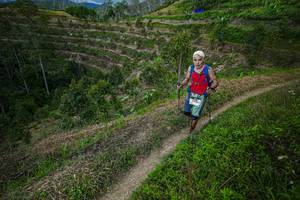 BIB: 9605
                            <button type="button" onclick="openModal(21855900)" class="btn btn-primary btn-sm float-right btn-popup" data-toggle="modal" data-target=".modal-high-quality">
                        <i class="fas fa-shopping-cart"></i> Add to Cart
                    </button>
                                            <button type="button" onclick="isThisMe(21855900, true)" class="btn btn-success btn-sm float-right btn-popup btn-isme hidden" data-toggle="tooltip" data-placement="bottom" title="นี่คือรูปของคุณใช่ไหม คลิกที่นี่เพื่อเอาเข้าอัลบั้ม">
                        <i class="fas fa-plus"></i> Add to album
                    </button>
                    <button type="button" onclick="isThisMe(21855900, false)" class="btn btn-warning btn-sm float-right btn-popup btn-isnotme hidden">
                        <i class="fas fa-ban"></i> Remove from album
                    </button>